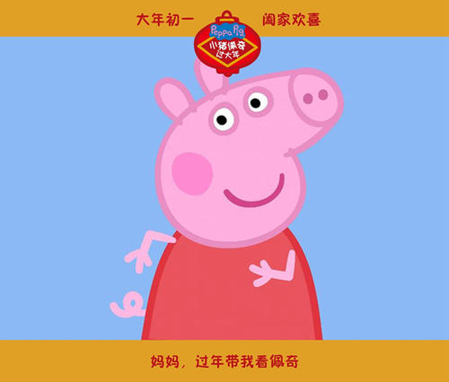 日本日本红十字豊田看护大学学生卡